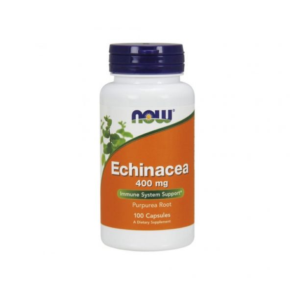 Now Echinacea 400mg 100 Cápsulas KuantoKusta