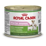 Ração Húmida Royal Canin Starter Mousse 195g