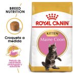 Royal Canin Maine Coon Kitten 4Kg