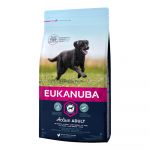 Eukanuba Active Adult Large Breed Chicken 12Kg