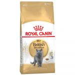 Royal Canin British Shorthair Adult Cat 2x 10Kg