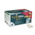 Hyaloral Condroprotetor Porte Pequeno/Médio 90 Comprimidos