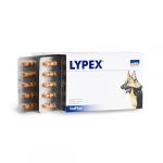Samylin Blister Lypex Cão & Gato 60 Comprimidos