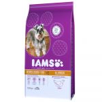IAMS ProActive Health Adult Senior & Mature Dog 12Kg