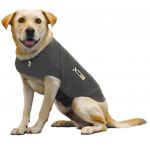 Thundershirt T-shirt do Extra S