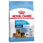 Royal Canin Maxi Starter Mother & Babydog 4Kg