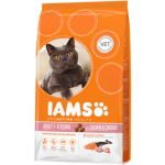 IAMS ProActive Health Adult Salmon & Chicken Cat 1,5Kg