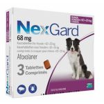 Nexgard Antiparasitário Cão 10-25Kg 3 Comprimidos
