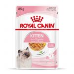 Ração Húmida Royal Canin Kitten em gelatina - 12 x 85g
