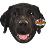 Pet Faces Almofada Dog Faces Labrador Black