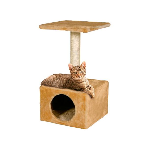 image_thumbnail