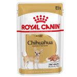 Ração Húmida Royal Canin Chihuahua Adult 12x 85g