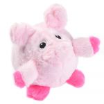 Zooplus Brinquedo Cão Piggy Pig Massajador Gengivas 8cm