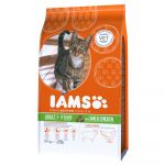IAMS ProActive Health Adult Lamb & Chicken Cat 10Kg