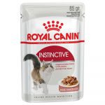 Royal Canin British Shorthair Adult Cat 4Kg