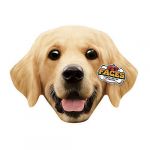 Pet Faces Almofada Dog Faces Labrador Golden Retriever