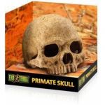 Exo Terra Refúgio Primate Skull - PT2926