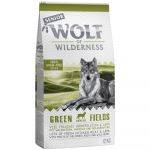 Wolf of Wilderness Senior Green Field Lamb 12Kg