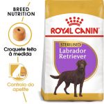 Royal Canin Labrador Retriever Sterilised 2x 12Kg