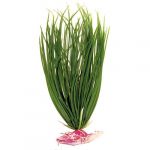 Nayeco Planta Plástico Acorus Grande