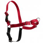 PetSafe Peitoral Easy Walk S Red