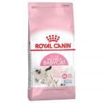 Royal Canin Mother & Babycat 2x 10Kg