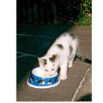 Kerbl Cat Bowl In Melamine