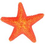 Trixie Estrelas do Mar - 18558