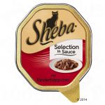 Ração Húmida Sheba Classics Pasta Salmão 22 x 85g