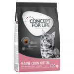 Concept for Life Maine Coon Kitten 10Kg