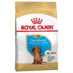 Royal Canin Dachshund Puppy 1,5Kg