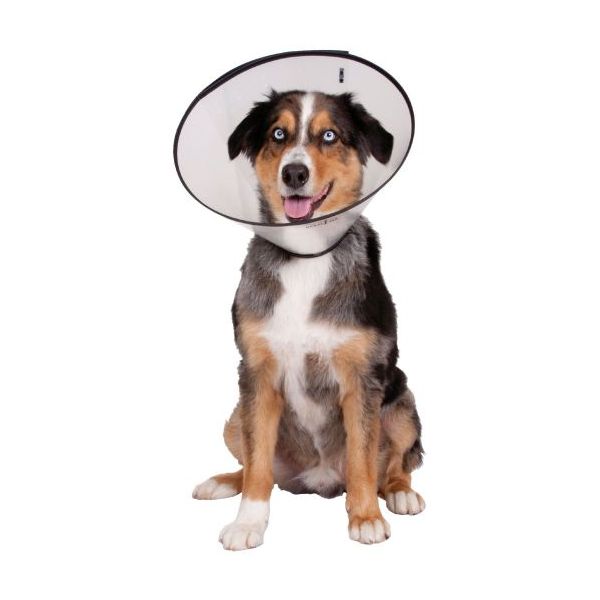 image_thumbnail