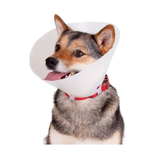 image_thumbnail