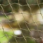 Zooplus Rede Protetora Gatos Malha Reforçada 2x3m