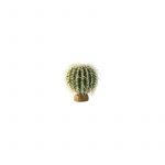 Exo Terra Planta "barrel Cactus