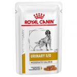 Ração Húmida Royal Canin Urinary S/O Moderate Calorie 12x 100g