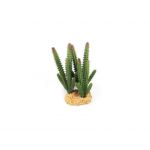 Terrarium Terratlantis Terra Decor Planta Cactus Fino 16 cm - 26356