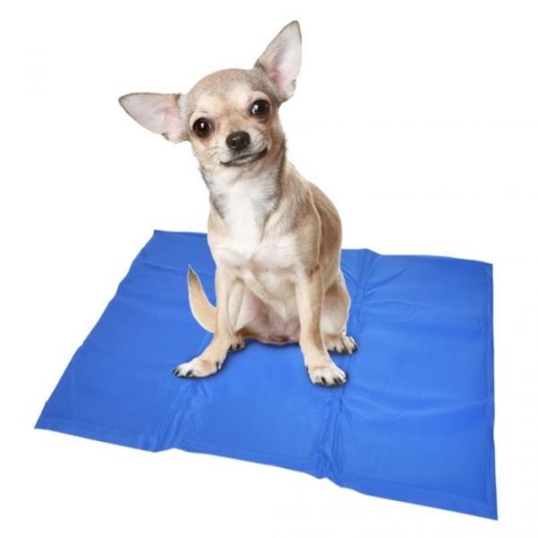 image_thumbnail