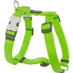 Red Dingo Peitoral One Touch Liso Lime 2,5x62-109 cm - PT05024LM