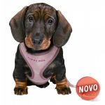 Trixie Peitoral com Trela Soft para Cachorro Junior (lilás)