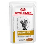 Ração Húmida Royal Canin Vet Diet Urinary S/O Moderate Calorie Cat 6x 85g