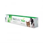 Wepharm WeBiotic Fast Reforço Intestinal Cão & Gato 15ml