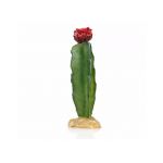 Giganterra Cactus 5