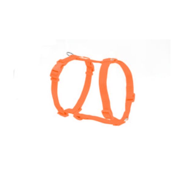 image_thumbnail
