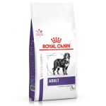 Royal Canin Vet Nutrition Adult Large Dog 13Kg