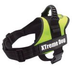 Arquivet Peitoral Xtreme Dog Verde Neon Xxl