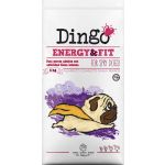Dingo Energy & Fit 12Kg