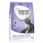 Concept for Life Mum & Young Kittens 400g