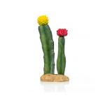 Gigan Terra Cactus 6 Giganterra