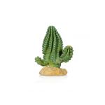 Gigan Terra Cactus 1 Giganterra